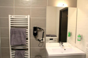 Отель Appartement au pied du Mont-Blanc !  Салланш